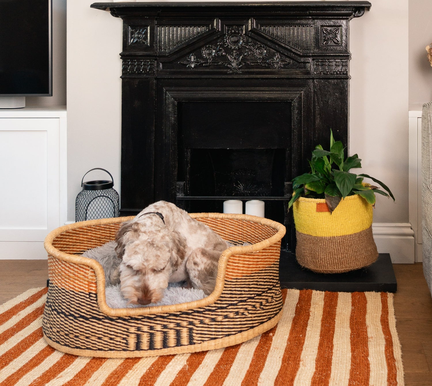 Pets Cat Dog Baskets