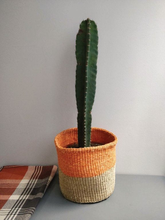 Planter Baskets