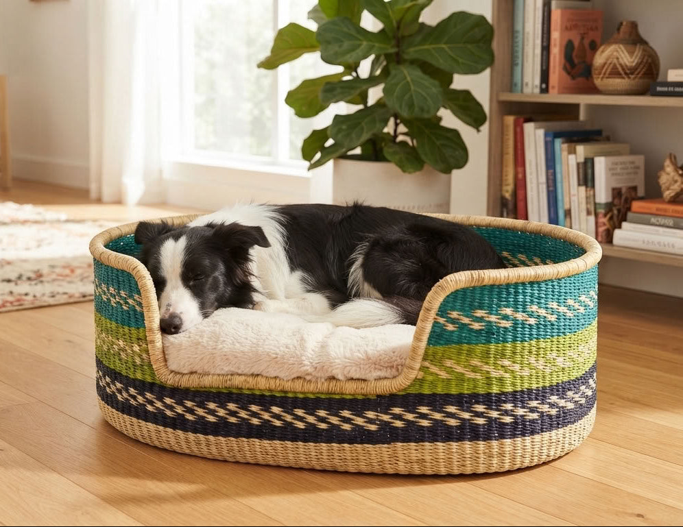 A black and white dog rests inside a woven oval pet bed with a colorful green, blue, and beige pattern, placed on a light wood floor in a bright living room.